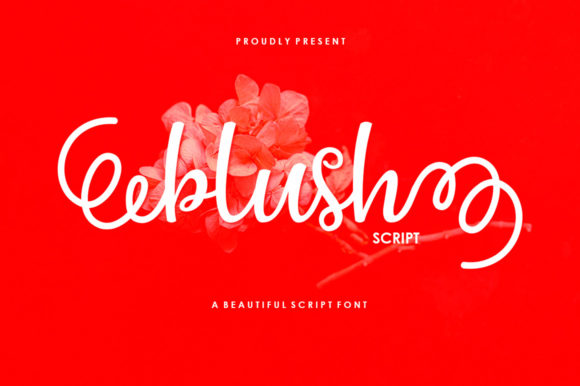 Blush Script: Elevate Your Brand with This Charming Font