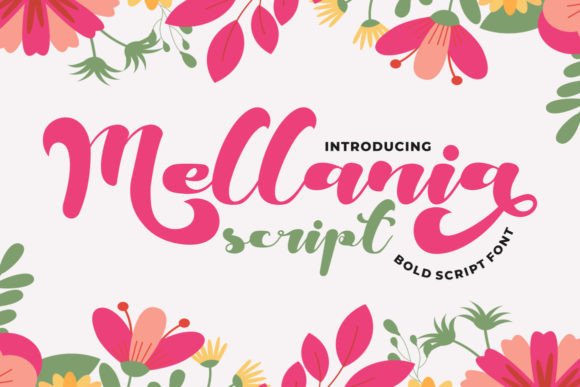 Discovering Mellania Script: A Charming Font for Editorial Design