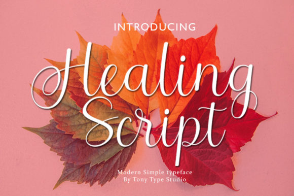 Enhance Your Brand with Healing Script Font