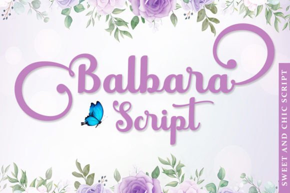 Enhance Your Web Design with Balbara Script