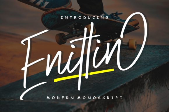 Enittin Modern Mono Script: A Designer's Review
