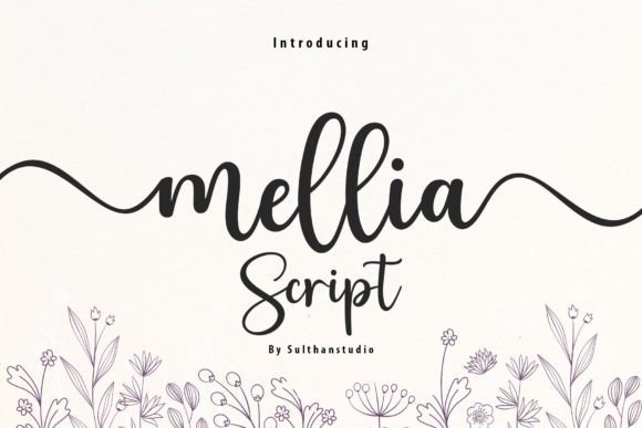 Exploring Mellia Script: A Contemporary Calligraphy Font