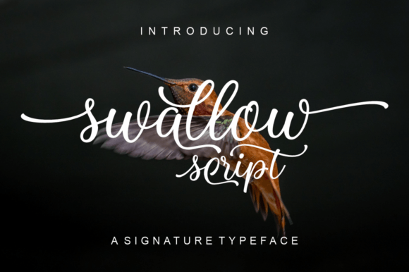Swallow Script: A Dazzling Font for Creative Makers