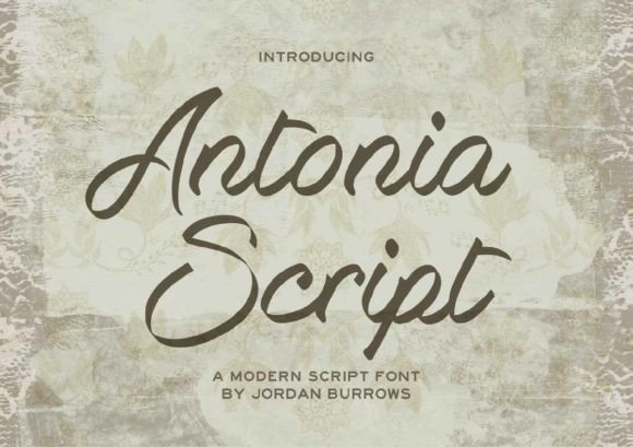 Transform Your Brand with Antonia Script: A Stylish Typeface
