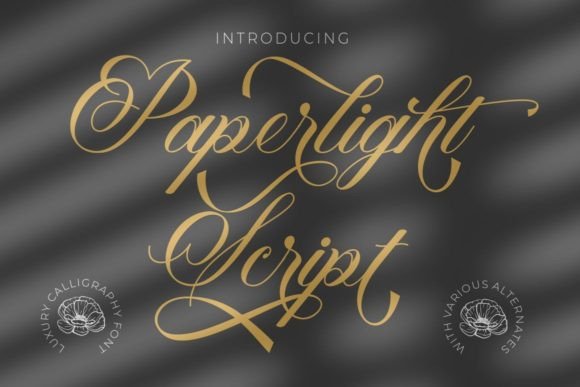 Transform Your Brand with Paperlight Script Font